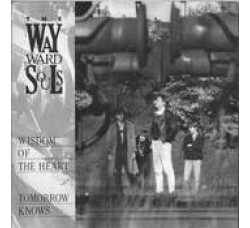 The Wayward Souls ‎– Wisdom Of The Heart -  45 RPM