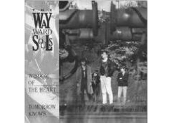 The Wayward Souls ‎– Wisdom Of The Heart -  45 RPM