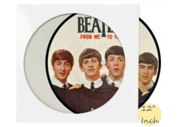 Copertine per dischi Picture disc 12", colore BIANCO con interno bianco - 10 pezzi