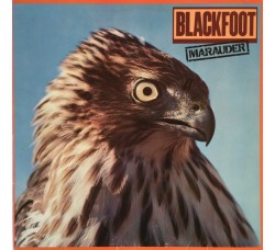Blackfoot  – Marauder - Vinile, LP, Album - Uscita: 1981