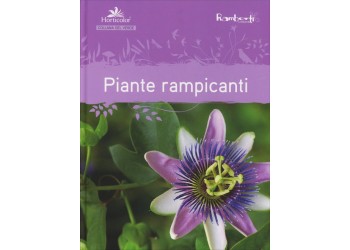 Piante Rampicanti Oltre 500 foto di piante rampicanti 