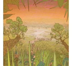 Pine Barons  / Mirage On The Meadow / Vinyl, LP, Album / Uscita: 09 Oct 2020