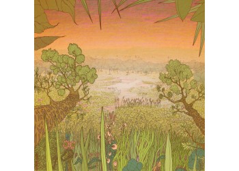 Pine Barons  / Mirage On The Meadow / Vinyl, LP, Album / Uscita: 09 Oct 2020