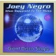 Joey Negro – What Happened To The Music – 12″ 1993 – EX/EX – Virgin