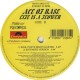 Ace Of Base – Life Is A Flower, Vinyl, 12", 33 ⅓ RPM, Single, Anno 1998