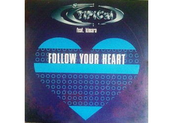 Ti.Pi.Cal. Kasto – Follow Your Heart, Vinyl, 12", 33 ⅓ RPM, Anno: 1998