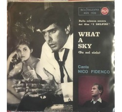 Nico Fidenco ‎– What A Sky - Vinyl, 7", 45 RPM, Mono - Uscita: 1961
