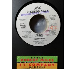 Robert Miles / JT Company – Fable / Miracle - 45 RPM   Jukebox