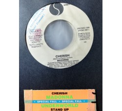 Madonna / Underworld – Cherish / Stand Up (Edit) – 45 RPM   Jukebox