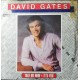 David Gates – Take Me Now – 45 RPM 