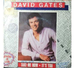 David Gates – Take Me Now – 45 RPM 