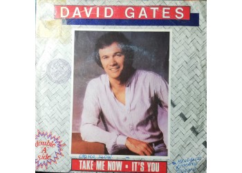David Gates – Take Me Now – 45 RPM 