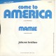 Johnson Brothers (3) – Come To America – 45 RPM 