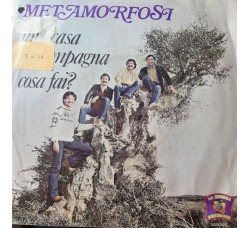 Metamorfosi  – Una Casa In Campagna / Cosa Fai? – 45 RPM     