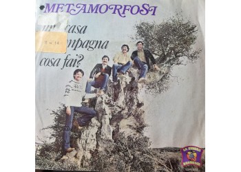 Metamorfosi  – Una Casa In Campagna / Cosa Fai? – 45 RPM     