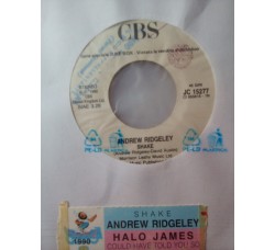Halo James / Andrew Ridgeley – Could Have Told You So / Shake – Jukebox