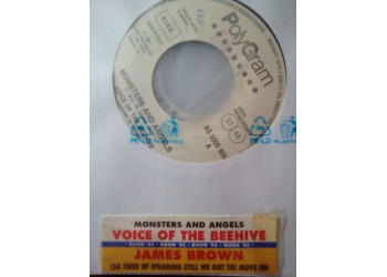 Voice Of The Beehive / James Brown – Monsters And Angels / (So Tired Of Standing Still We Got To) Move On – jukebox
