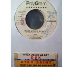 DSK / Utah Saint* – What Would We Do / What Can You Do For Me? – Jukebox