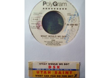DSK / Utah Saint* – What Would We Do / What Can You Do For Me? – Jukebox