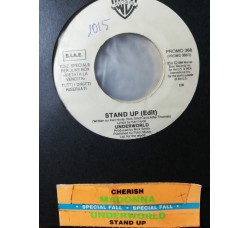 Madonna / Underworld – Cherish / Stand Up (Edit) – 45 RPM - Jukebox