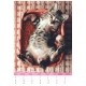 Calendario - CUTE CATS - Collezione (2021) 