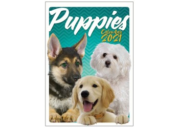 Calendario - PUPPIES -  Collezione (2021) 