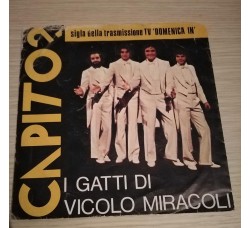 I GATTI DI VICOLO MIRACOLI,  Capito?  -  Solo copertina (7") 