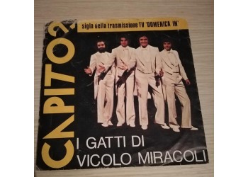 I GATTI DI VICOLO MIRACOLI,  Capito?  -  Solo copertina (7") 
