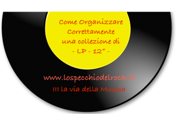 Come organizzare  i Long Playing (LP/Vinile)