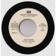 Fish / Tina Turner ‎– Big Wedge / Steamy Windows – 45 RPM (Jukebox)