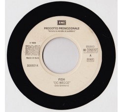 Fish / Tina Turner ‎– Big Wedge / Steamy Windows – 45 RPM (Jukebox)