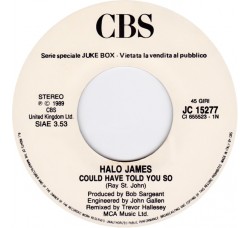 Halo James / Andrew Ridgeley ‎– Could Have Told You So / Shake – 45 RPM (Jukebox)