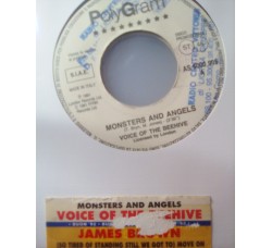 Voice Of The Beehive / James Brown ‎– Monsters And Angels / (So Tired Of Standing Still We Got To) Move On - (Single Jukebox) 