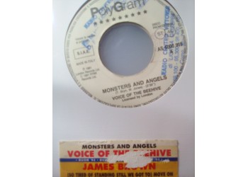 Voice Of The Beehive / James Brown ‎– Monsters And Angels / (So Tired Of Standing Still We Got To) Move On - (Single Jukebox) 