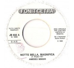 Amedeo Minghi / Nek ‎– Notte Bella, Magnifica / In Te– 45 RPM