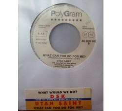 DSK / Utah Saint* ‎– What Would We Do / What Can You Do For Me? - 45 RPM (Jukebox)