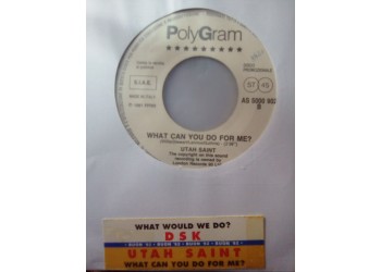 DSK / Utah Saint* ‎– What Would We Do / What Can You Do For Me? - 45 RPM (Jukebox)