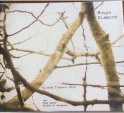 ROUGH DIAMOND - Gloria Trapani Quartet - CD