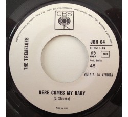 The Tremeloes ‎– Here Comes My Baby