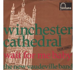 The New Vaudeville Band ‎– Winchester Cathedral – 45 RPM