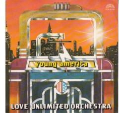 Love Unlimited Orchestra ‎– Young America – 45 RPM
