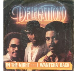 Delegation ‎– In The Night / I Wantcha' Back – 45 RPM