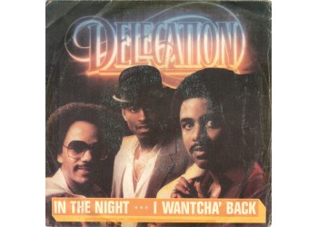 Delegation ‎– In The Night / I Wantcha' Back – 45 RPM