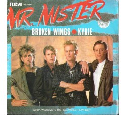 Mr. Mister ‎– Broken Wings – 45 RPM