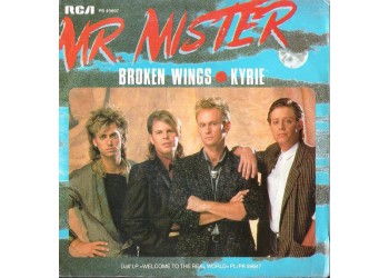 Mr. Mister ‎– Broken Wings – 45 RPM