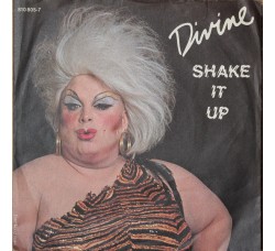 Divine ‎– Shake It Up – 45 RPM