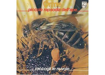 Le Orme ‎– Piccola Rapsodia Dell'Ape / Raccogli Le Nuvole – 45 RPM