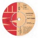 Kate Bush ‎– Babooshka - 45 RPM