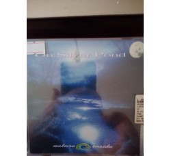 On Silver Pond – (CD)