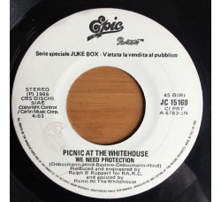 Picnic At The Whitehouse / Mental As Anything ‎– We Need Protection / You're So Strong – (jukebox) - 45 RPM